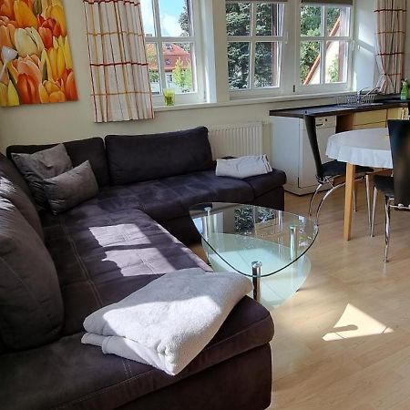 Dresdnerferienwohnung - Apartment Am Grossen Garten Дрезден Екстер'єр фото